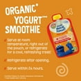 thumbnail image 2 of Earth's Best Organic Immune Support Toddler Food, Banana Orange Pineapple Smoothie, 4 oz Pouch, 2 of 11