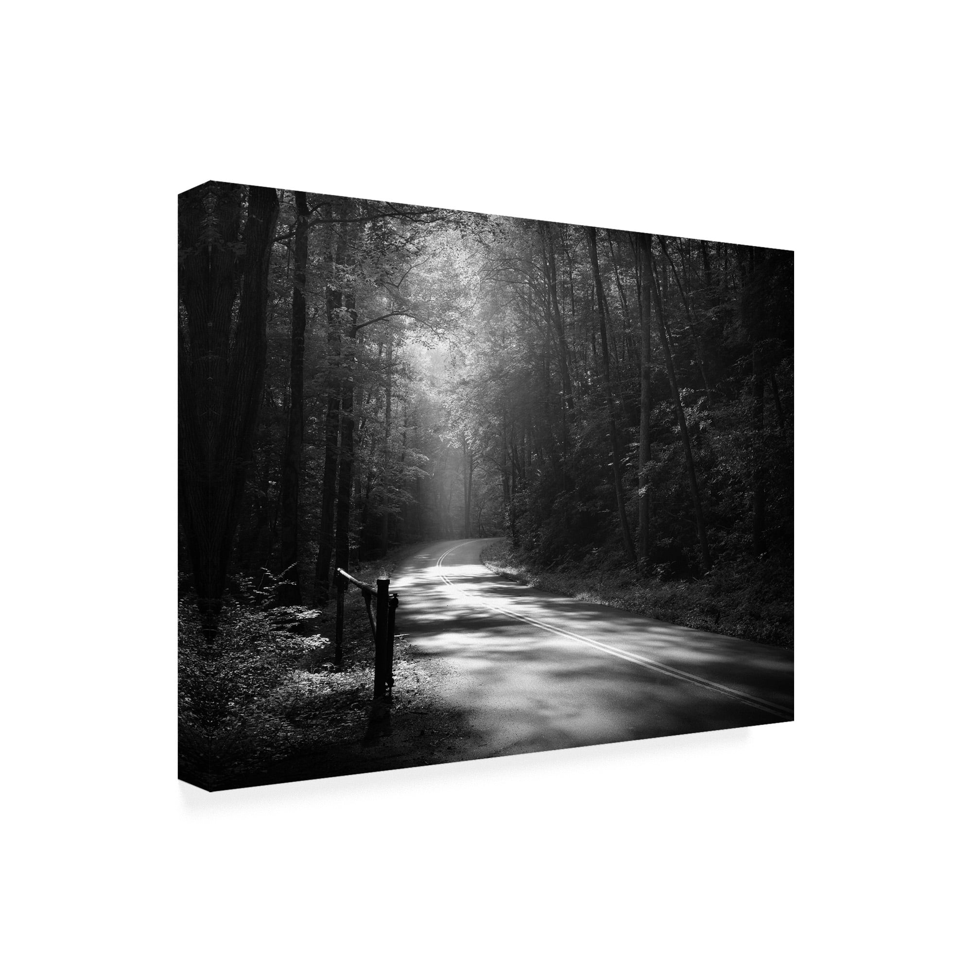 Trademark Fine Art 'Tremont Road, Smoky Mountains' Canvas Art by Nicholas Bel