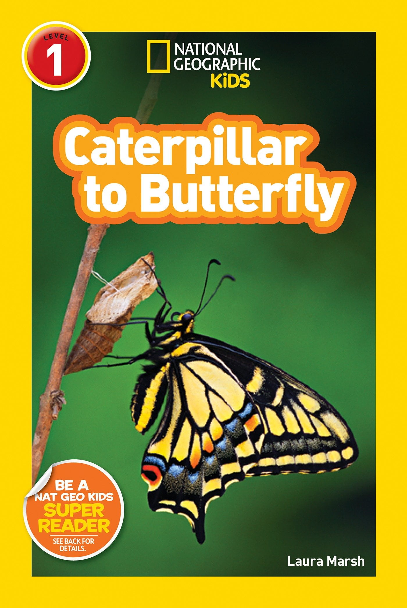 Caterpillar to Butterfly (Paperback)