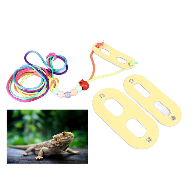 Arnés para Reptiles Arnés Ajustable para Caminar para Mascotas Arnés para Animales Pequeños Chaleco con Correa para el Pecho Correa de Cuero Suave Arnés Chaleco para ANGGREK Otros