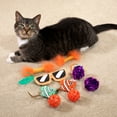 thumbnail image 6 of Kitty City, Cat Toys, Deluxe Cat Toy Box, Multi- Color, 15 Piece Set, 6 of 11