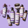 thumbnail image 4 of Carol&rsquo;s Daughter Black Vanilla Moisture & Shine Shampoo and Conditioner Set For Dry Hair and Dull Hair, Sulfate Free Shampoo and Hydrating Hair Conditioner (Packaging May Vary), 4 of 7