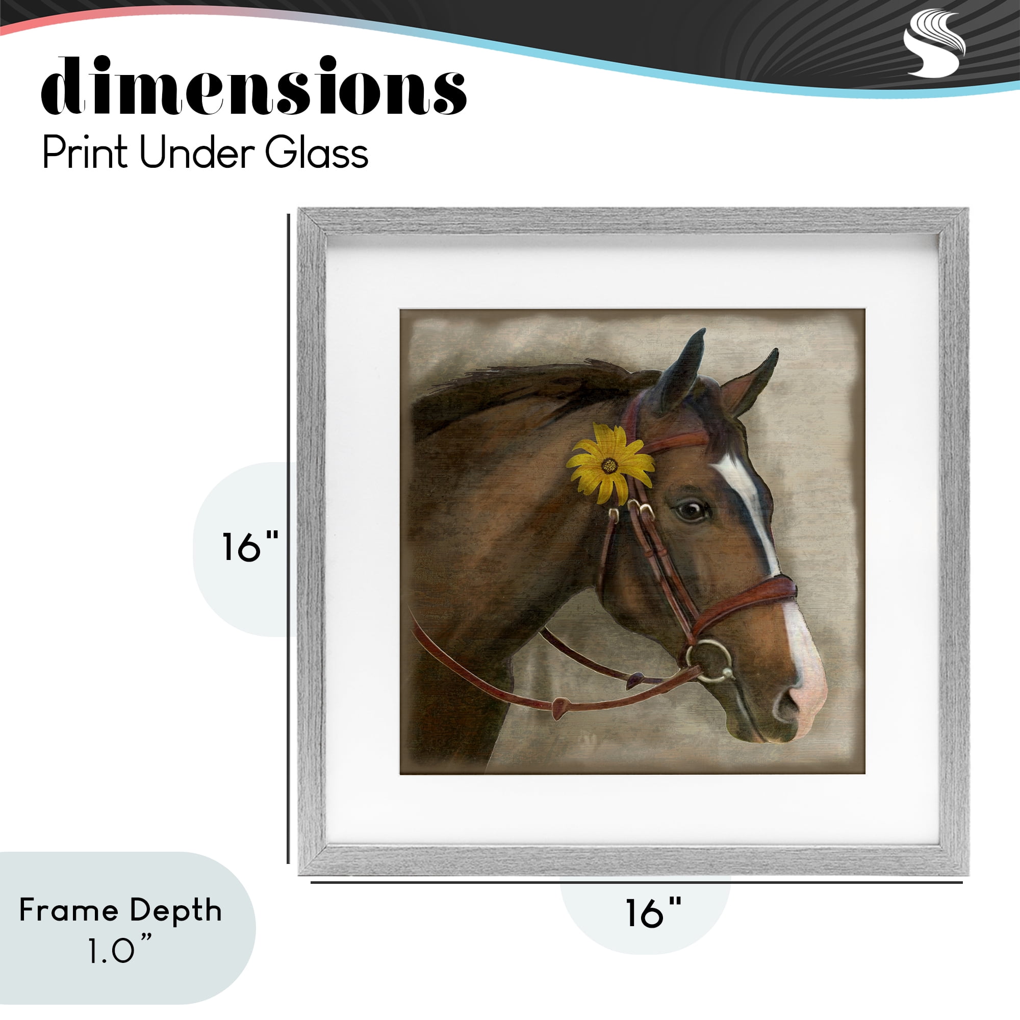 Stupell Industries Barnyard Horse with Daisy Gray Framed Print Under Glass, design by Suzanne Nicoll