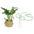 thumbnail image 1 of Uxcell 1-Pack Soporte para Plantas Monstera 11x5.9" Estacas de Soporte para Plantas Resistentes para Plantas en Macetas, Verde, 1 of 1