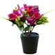 thumbnail image 1 of Cymbidium de tres cabezas con flores falsas, pequeño bonsái, decoración creativa, simulación de flores artificiales, planta verde, planta en maceta, 1 of 5