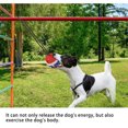 thumbnail image 4 of Methold Juguete universal para mascotas, juguete con sonido para la dentición, juguetes portátiles para practicar, entretenimiento, juegos deportivos Suministros para perros Azul Methold PT004352-02B, 4 of 6
