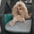 thumbnail image 3 of Thule Bexey Dog Bed Medium, 3 of 4