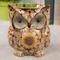 thumbnail image 3 of Scentsationals Wax Melt Warmer, Wax Warmer for Scented Wax Melts - Animal Collection Spotted Owl - Candle Wax Melter for Fragrance Cubes and Tarts, 3 of 5