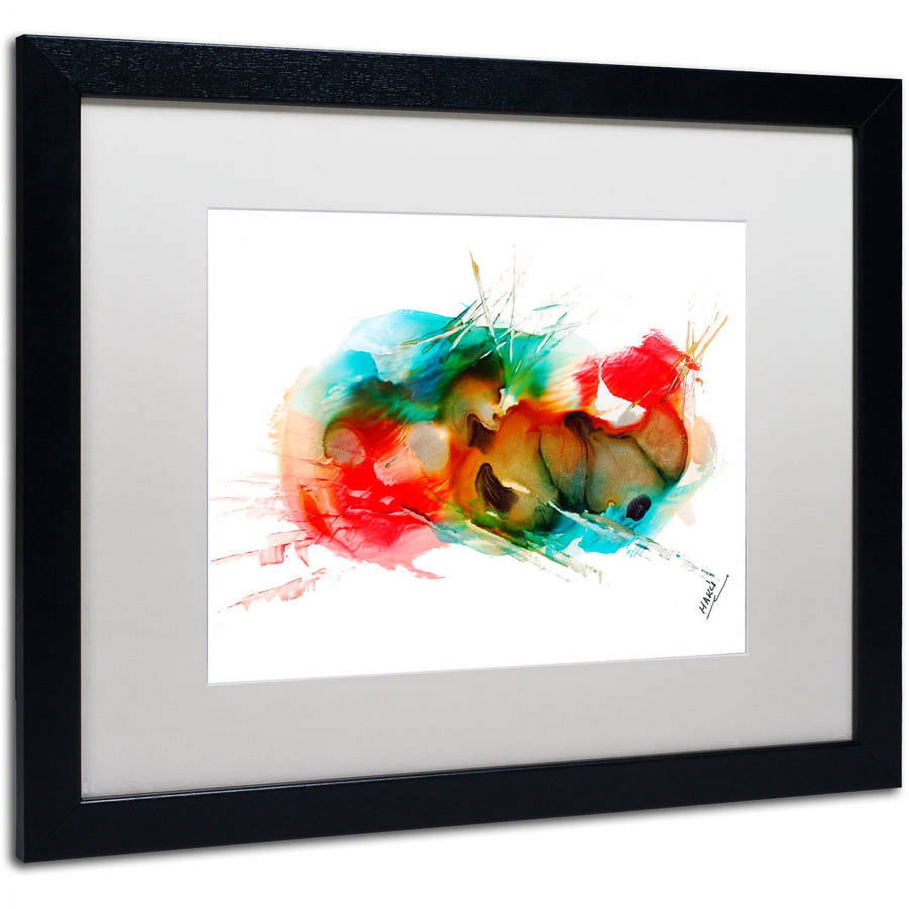 Trademark Fine Art "Abstract 01" Canvas Art by Mako, White Matte, Black Frame