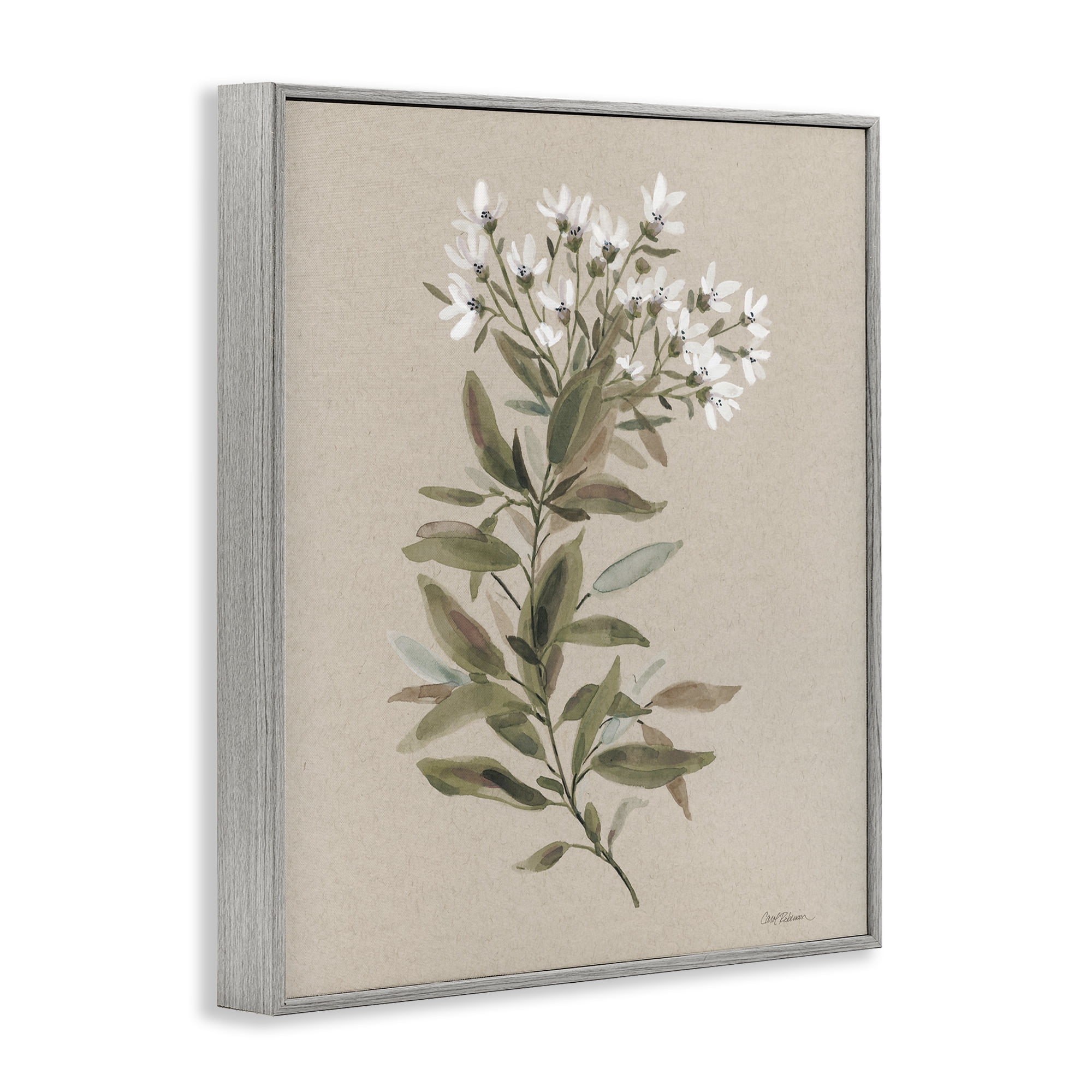 Stupell Industries Watercolor Wildflower Sprig Botanical & Floral Painting Gray Framed Art Print Wall Art, 16 x 20
