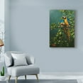 thumbnail image 3 of Trademark Fine Art 'Parrots, Love Is' Canvas Art by Michael Jackson, 3 of 3