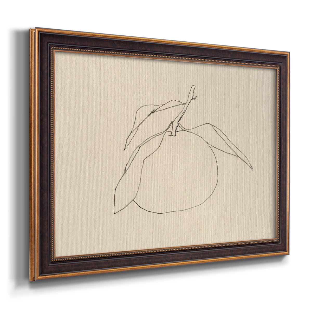 Citrus Contour I Premium Framed Canvas- Ready to Hang