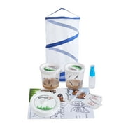 LIVE Butterfly Kit:Large Pop up Cage, FREE Certificate for 10 Caterpillars &More