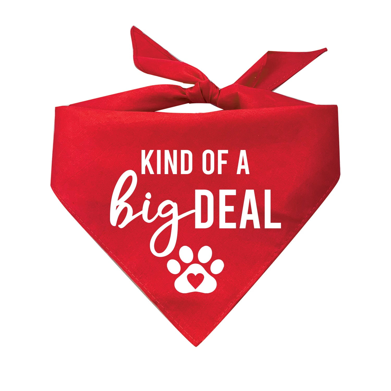 Kind Of A Big Deal Triangle Dog Bandana