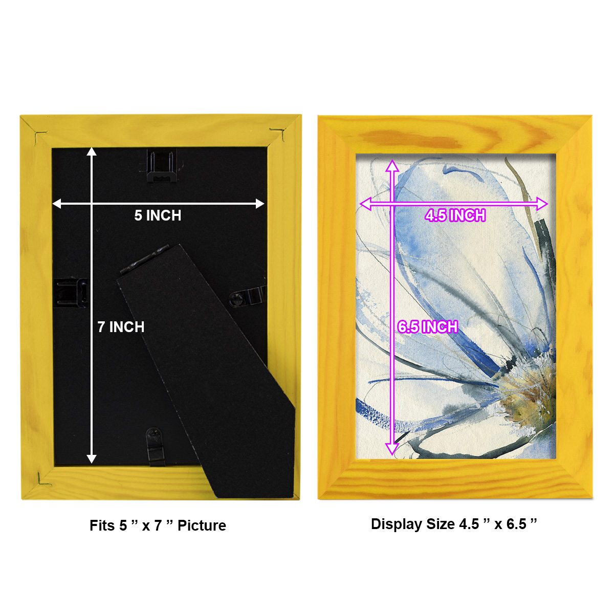 Cobalt & Paynes Petals I - Framed Print w/glass - Sunflower Yellow