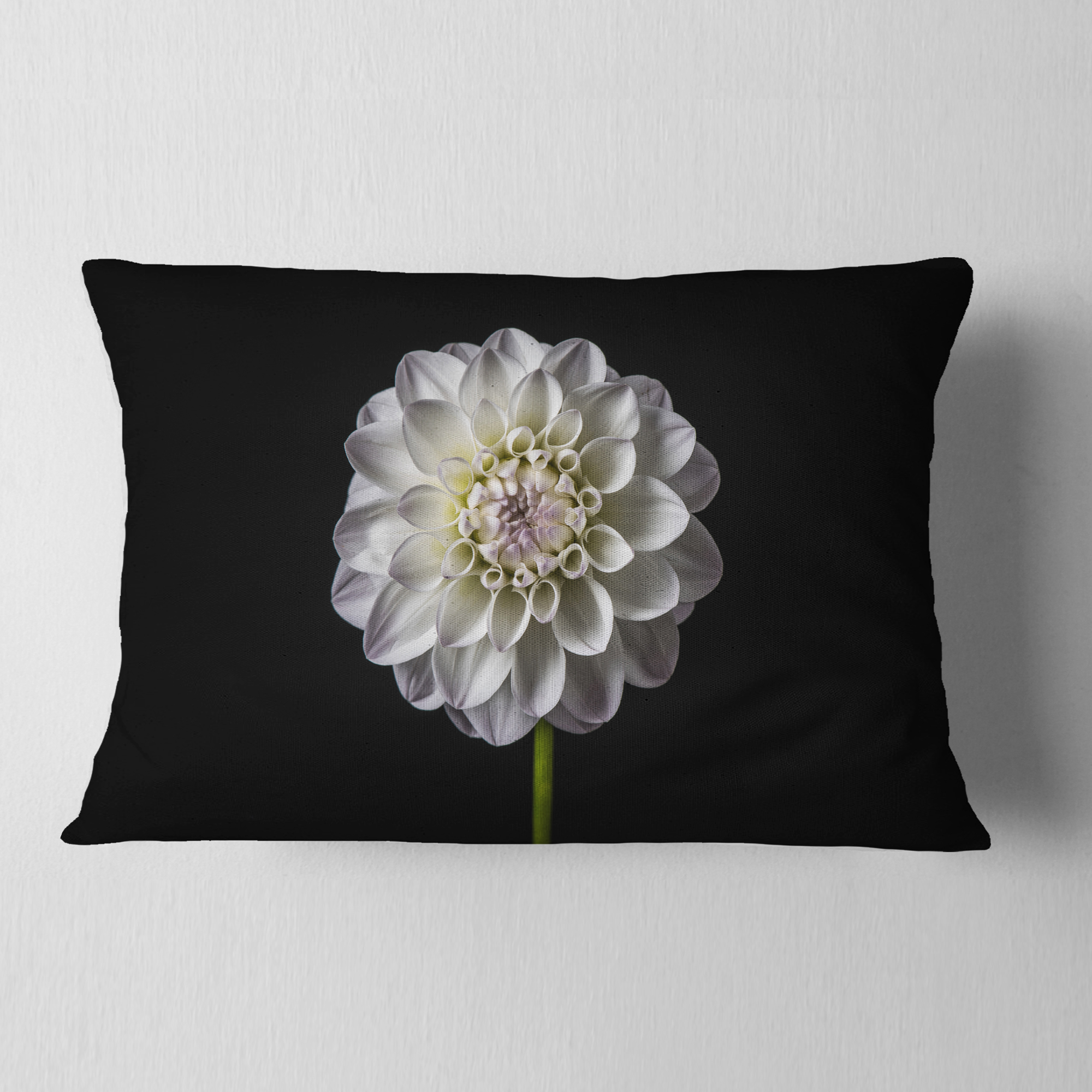 Designart Isolated Dahlia Flower in Black - Floral Throw Pillow - 12x20