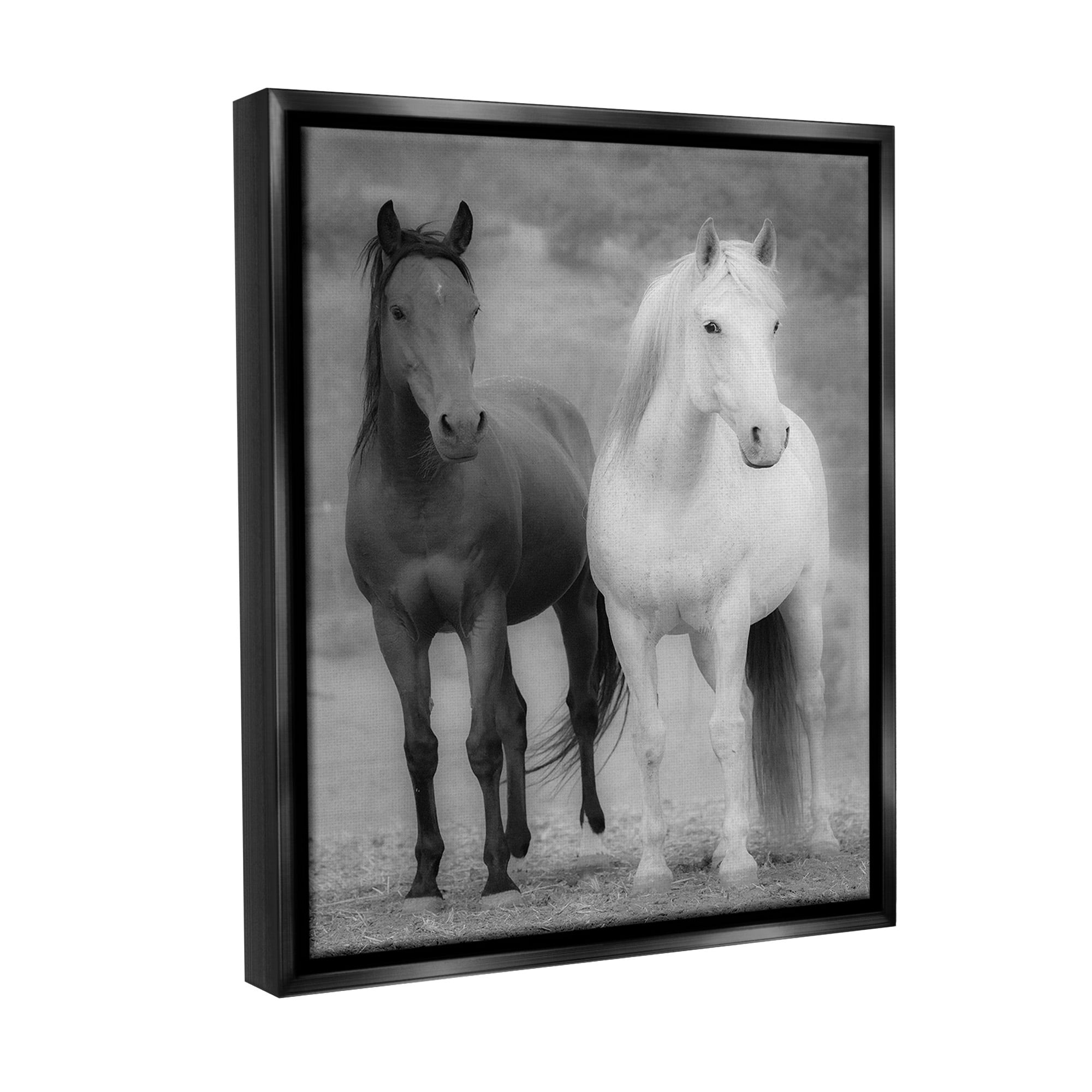 Stupell Industries White & Black Horses Animals & Insects Photography Black Floater Framed Canvas Art Print Wall Art, 25 x 31