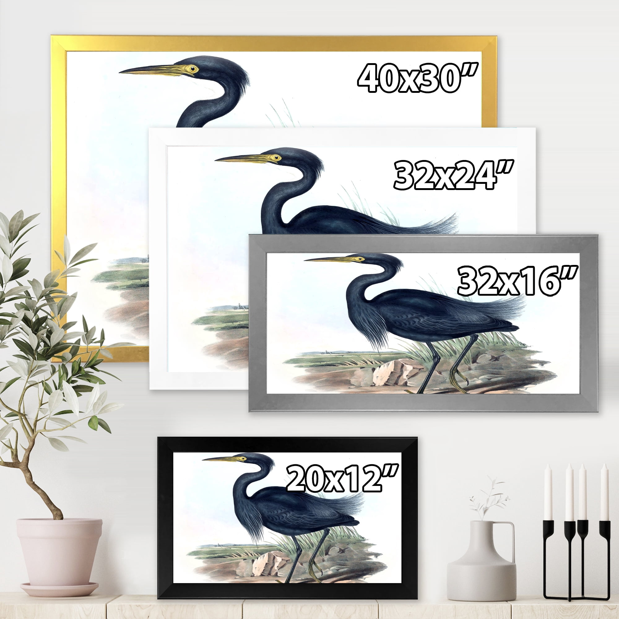 Designart 'Ancient Australian Birds III' Traditional Framed Art Print