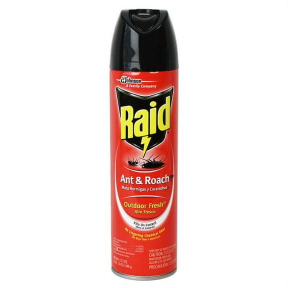 Raid Ant & Roach Killer 26 Outdoor Fresh Scent 17.5 oz (Pack of 2)