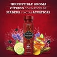 thumbnail image 4 of Body Spray Old Spice Ocean Legend Desodorante 96 g/150 ml, 4 of 5