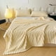 thumbnail image 2 of Xihbxyly Manta de Franela Suave y Acogedora, Cálida y Ligera, de Microfibra, con Diseño a Rayas para Sofá Cama, Comodidad Durante Todo El Año, Regalo Perfecto para La Familia, Disponible En Varios Co, 2 of 7
