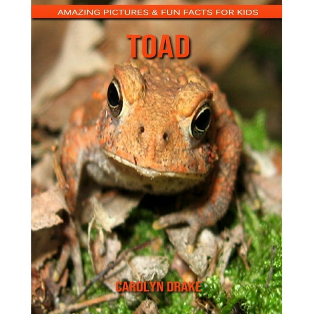 Toad : Amazing Pictures & Fun Facts for Kids - Walmart.com - Walmart.com