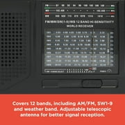 RadioShack Portable Multi-Band Radio with Weather Band 1202271