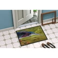 Carolines Treasures JMK1016JMAT Green Heron Door Mat, Indoor Rug or