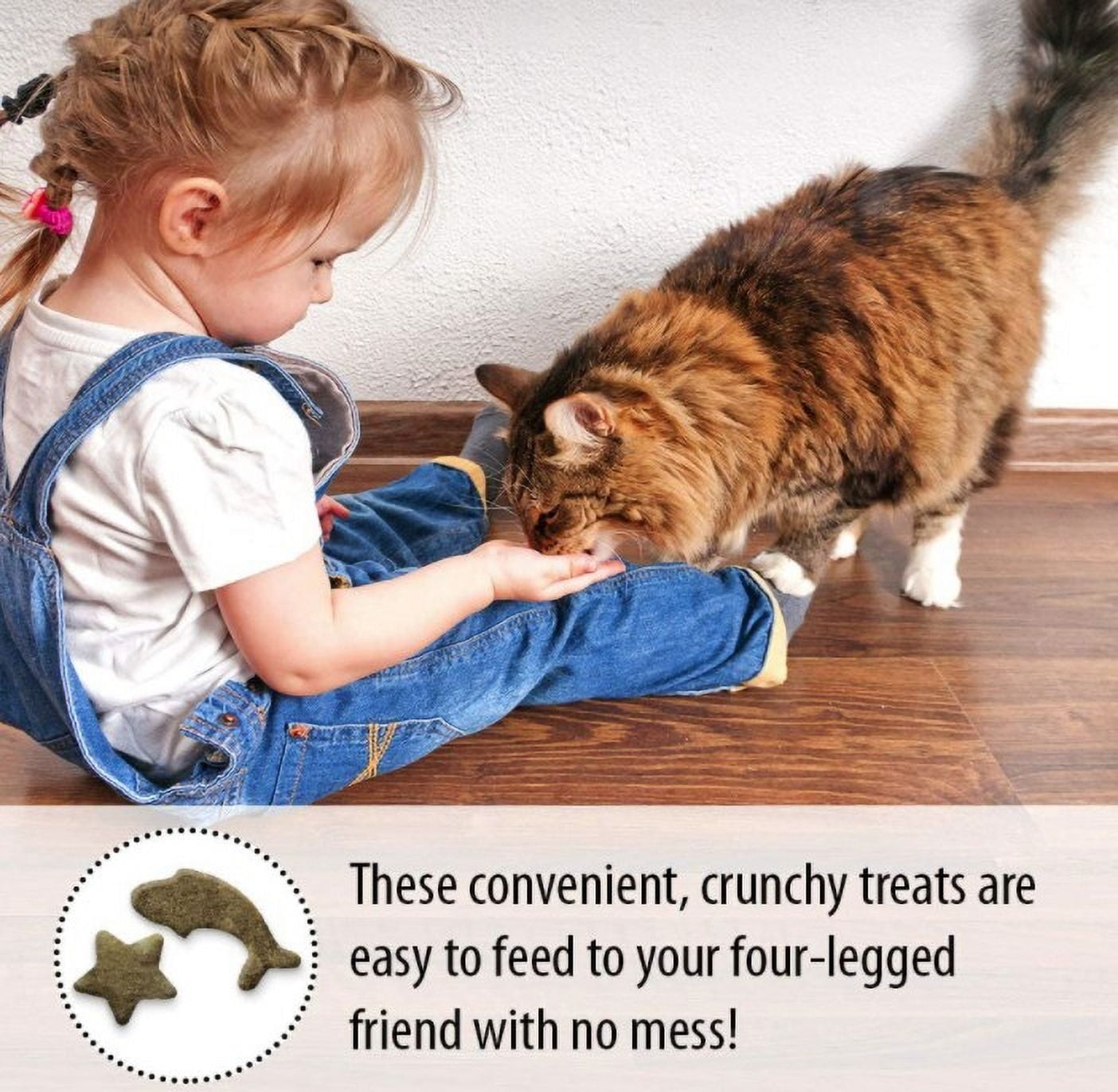 6 Pack Emerald Pet Wholly Fish! Cat Treats Salmon Recipe [Cat Crunchy Treats, Bulk Cat Supplies, Emerald Pet] 18 oz (6 x 3 oz)