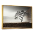 thumbnail image 2 of Designart "Minimalist Photography Of A Serene Tree" Tree Floater Framed Wall Decor, 2 of 5