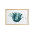 thumbnail image 1 of Flower Wall Art with Frame, X-ray Image of a Rose Flower Romance Creative Nature Picture Print, Printed Fabric Poster for Bathroom Living Room, 35" x 23", Teal White, by Ambesonne, 1 of 2