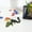 A, variant on Apmemiss Clearance 3D Printed Crystal Dragon Articulated Dragon, Articulated and Posable Toy for Car Decoration Home Office Decor Strikingly Realistic Dragon Crystal Figure Gifts