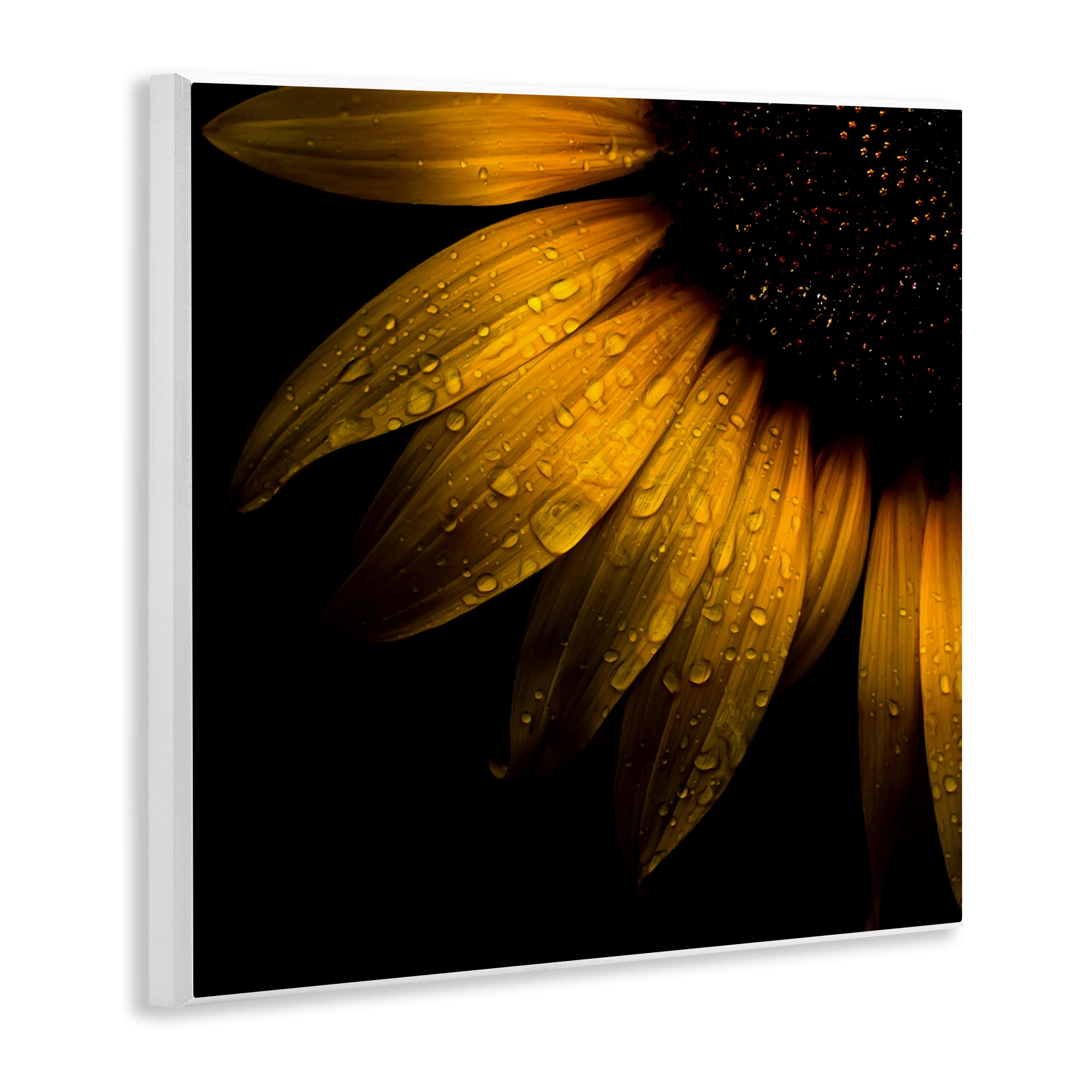 Sunflower Detail with Droplets Wall Plaque Art, design by Brian Carson Photography