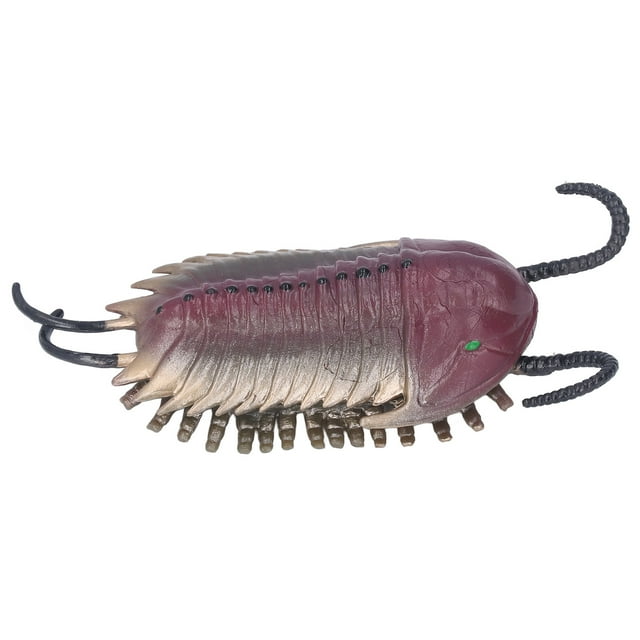 Trilobite Model, Birthday Gift Ancient Animal Figure For Kid Age 3 And Up For Family Gathering
