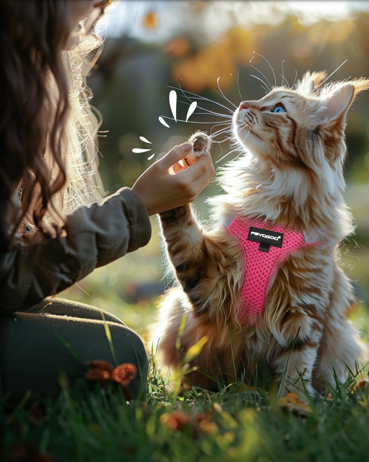 FAYOGOO Escape Proof Cat Harness and Leash Set for Walking, Secure-Fit Step-in Cat Vest Harness, Soft & Lightweight for Kittens and Large Cats