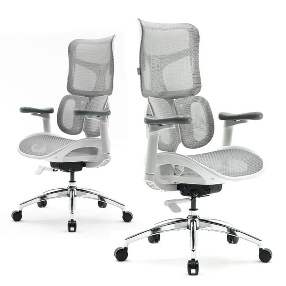 SIHOO S100 Chaise de Bureau Ergonomique à Roulettes - Soutien Lombaire Dynamique Double, Chaise de Bureau Réglable avec Accoudoirs 4D Coordonnés pour Bureau à Domicile Blanc