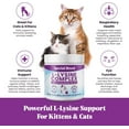 thumbnail image 2 of L-Lysine for Cats and Kittens – Cat Supplement for Immune, Respiratory & Eye Support – Lysine Powder with Prebiotics, Bone Broth, Krill, & DMG for Sneezing, Vision, Immunity – 120 Scoops, 2 of 8