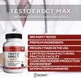thumbnail image 4 of GreenVify TestoErect Max – Men’s Vitality & Performance Support Supplement, 4 of 5