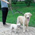 thumbnail image 2 of Double Dog Leash, 360 Rotation Tangle Free, Dog Walking Leash, Fits 2 Dogs Up To 200 Pounds, Black, Large, 2 of 3