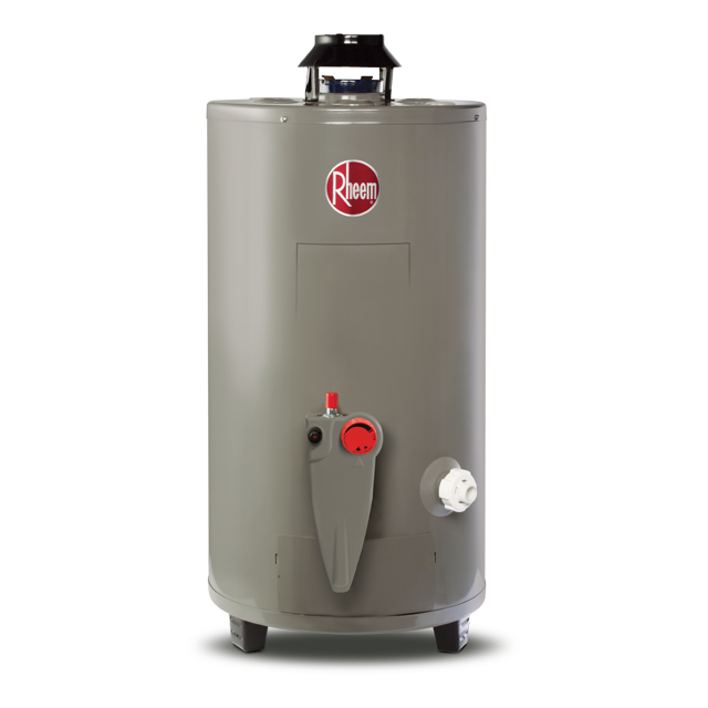 Calentador de Agua Todo Terreno Rheem 48 Litros a Gas LP 2 Servicios 29V13HR/692210