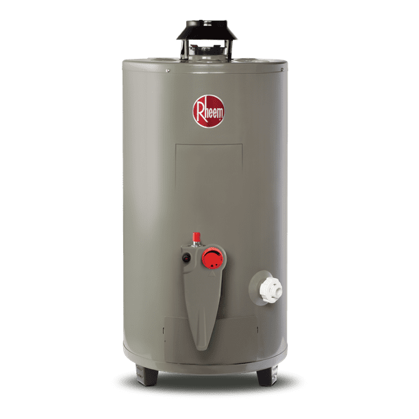 Calentador de Agua Todo Terreno Rheem 48 Litros a Gas LP 2 Servicios 29V13HR/692210