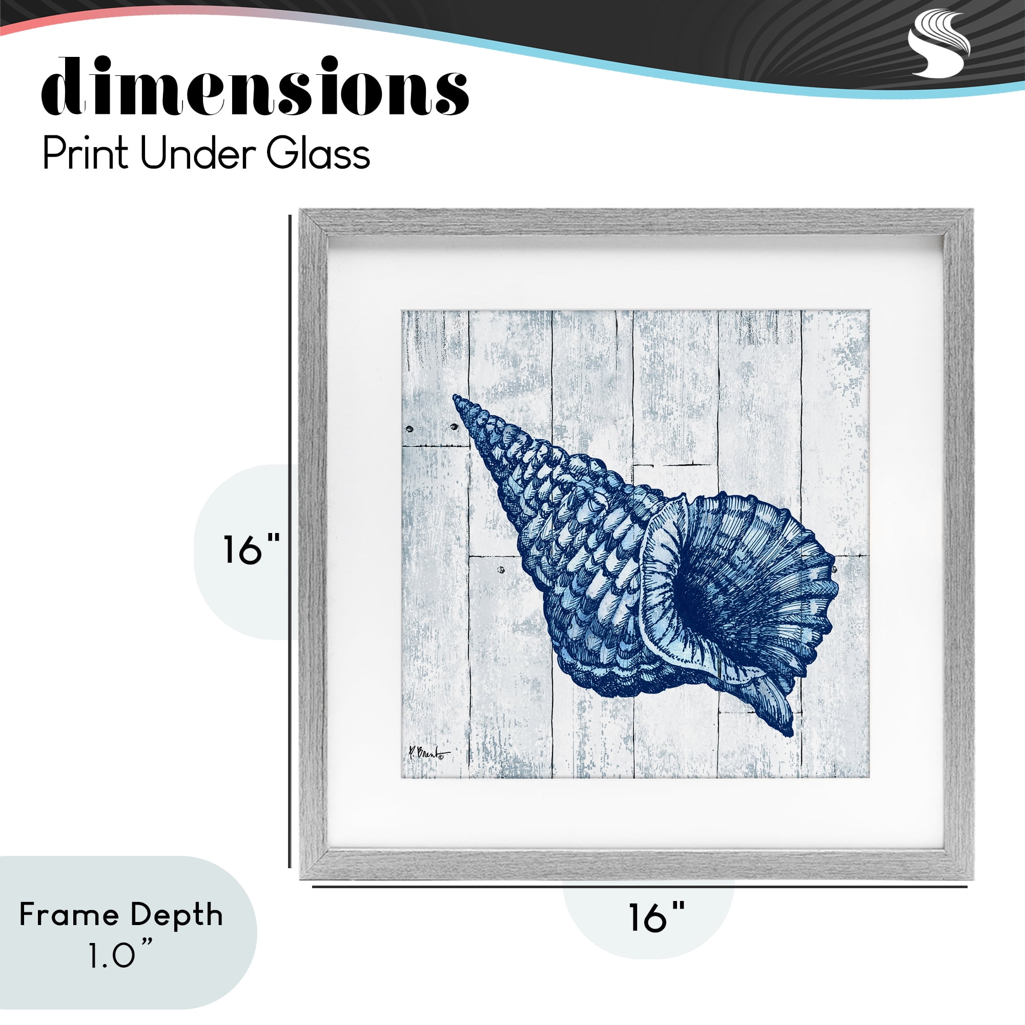 Stupell Industries Coastal Timberland Conch Gray Framed Print Under Glass, design by Paul Brent