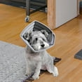 thumbnail image 4 of Collar de cono para perro, collares isabelinos suaves plegables, protección contra heridas para mascotas, antimordedura M, 4 of 8