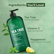 Botanic Hearth Tea Tree Shampoo – 100% Pure Tea Tree Oil, Vitamin C, Peppermint, Lavender & Rosemary Oil – Sulfate & Paraben Free, All Hair Types, 16 fl. oz