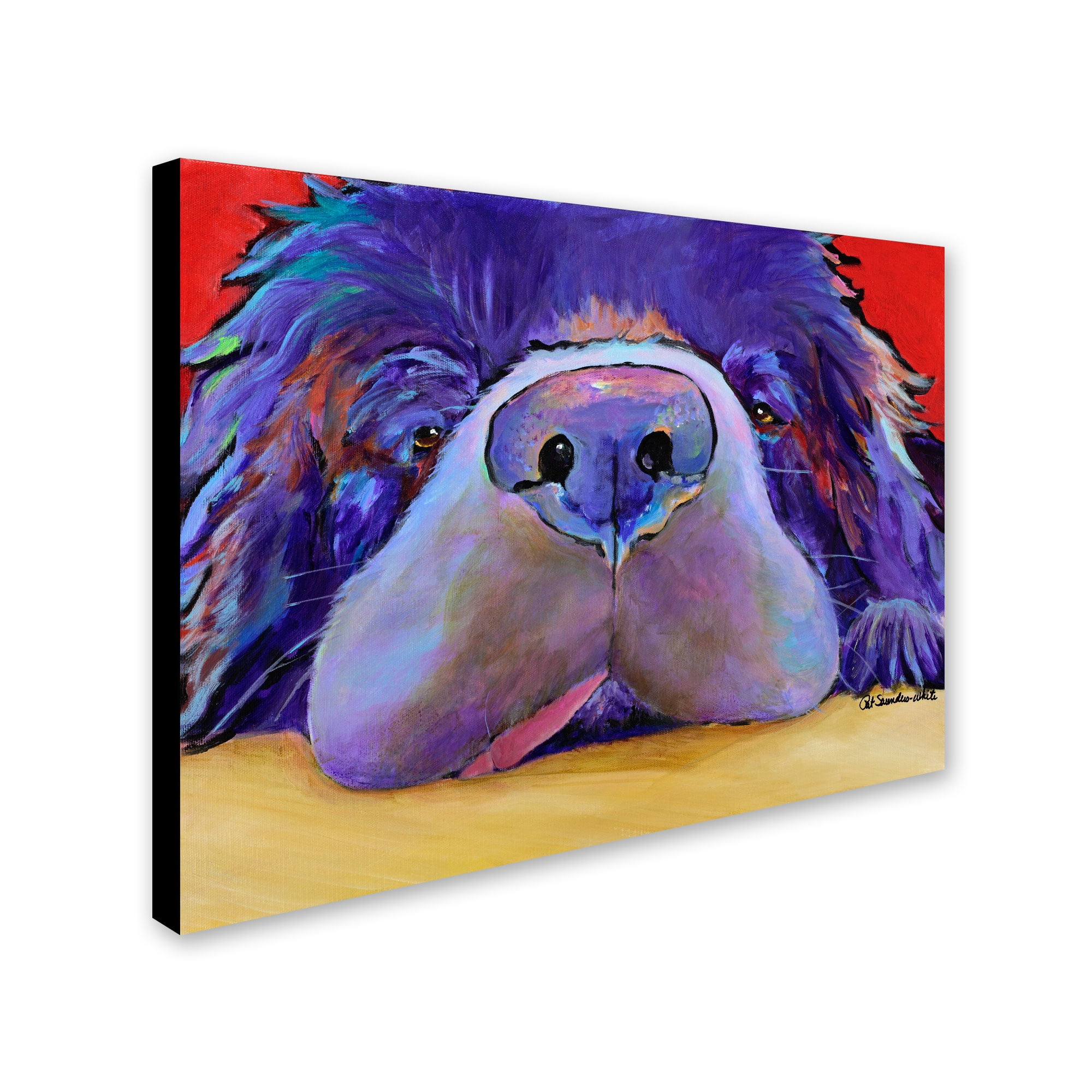 Trademark Fine Art "Graysea" Canvas Art by Pat Saunders