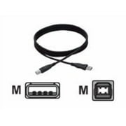 Accell Premium Series - USB cable - USB (M) to USB Type B (M) - USB 2.0 - 3 ft