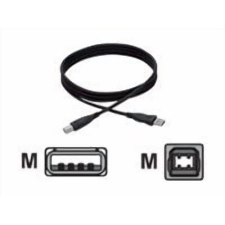 Accell Premium Series - USB cable - USB (M) to USB Type B (M) - USB 2.0 - 3 ft