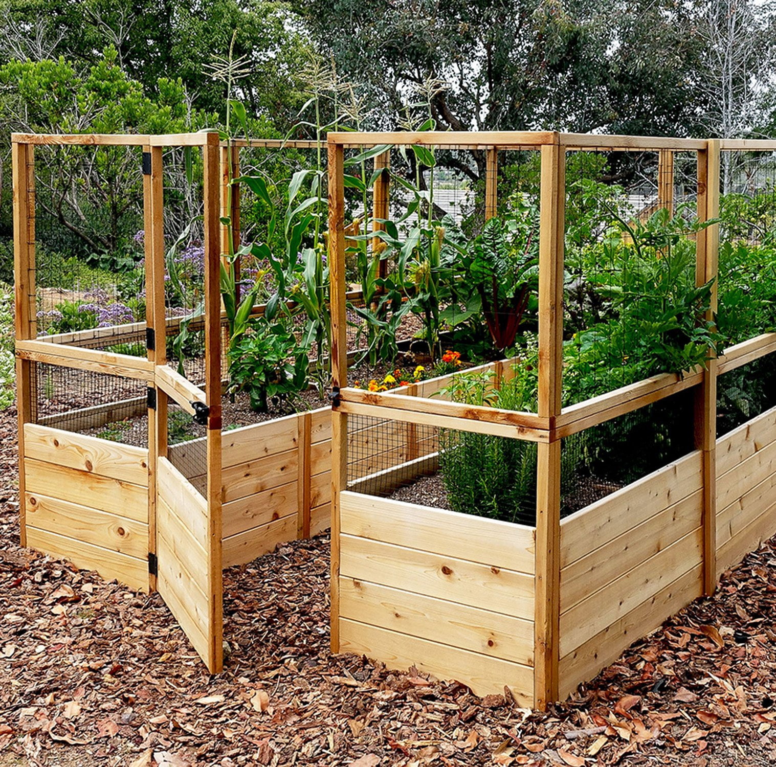 Outdoor Living Today 8x12 Western Red Cedar Raised Garden Bed with Deerfence