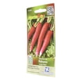 thumbnail image 2 of Semillas Rábano Largo Hortaflor Rojo 6 G, 2 of 3