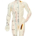thumbnail image 3 of Acupuncture 26cm Professional Unisex PVC Acupuncture Point Human Body Model Teaching Tool, 3 of 8